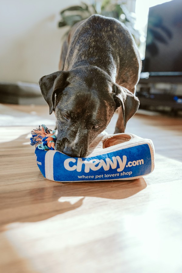Pet Treats